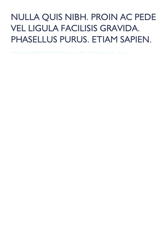Maecenas condimentum tincidunt lorem. Vestibulum vel tellus. 