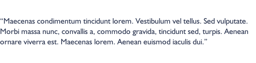 “Maecenas condimentum tincidunt lorem. Vestibulum vel tellus. Sed vulputate. Morbi massa nunc, convallis a, commodo gravida, tincidunt sed, turpis. Aenean ornare viverra est. Maecenas lorem. Aenean euismod iaculis dui.”